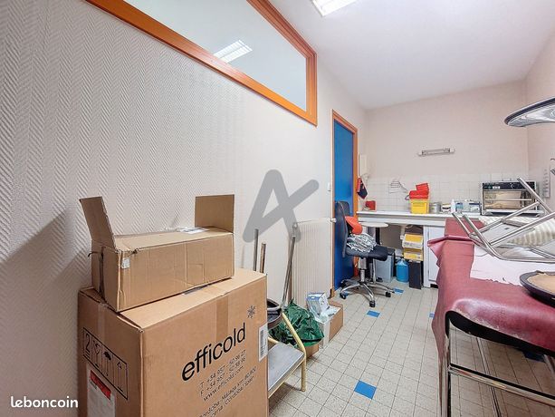 https://img.leboncoin.fr/api/v1/lbcpb1/images/1f/aa/64/1faa64ed1b383c0178e305702a3623044b07f9d8.jpg?rule=ad-image