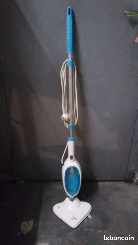Balai vapeur eternity (image 1)