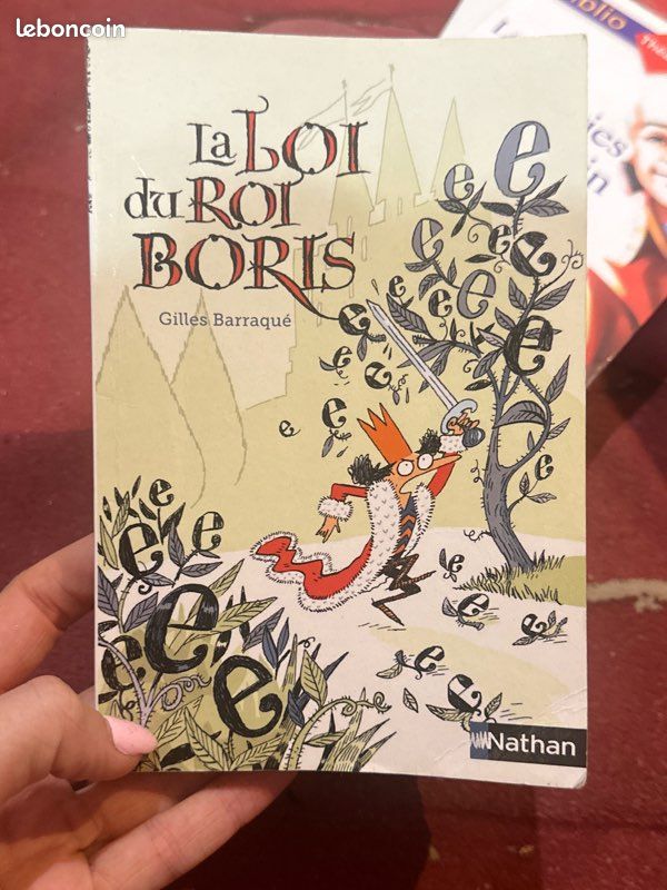 Livre à vendre voir le lot photos (image 8)