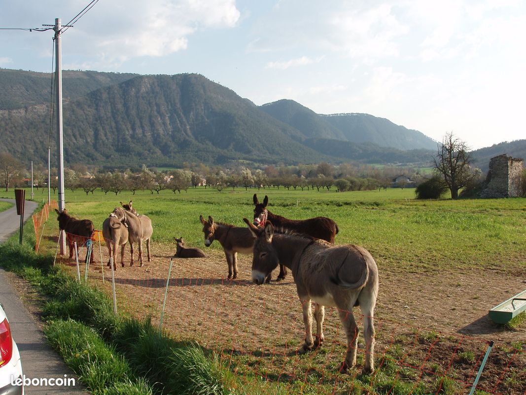 Location saisonnière T4 " Belle vue"--près de Digne-04 (image 2)