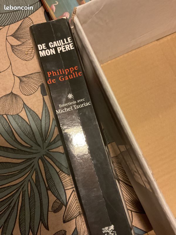 De gaulle mon pere (image 4)