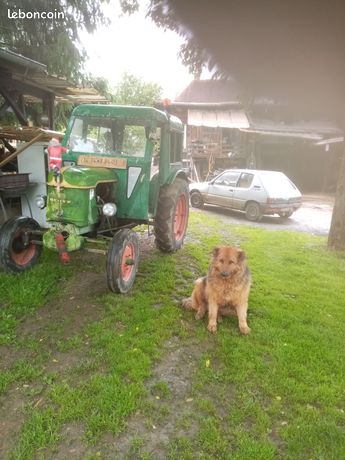 D25 Raza Deutz d25 d'occasion - Tracteurs - leboncoin