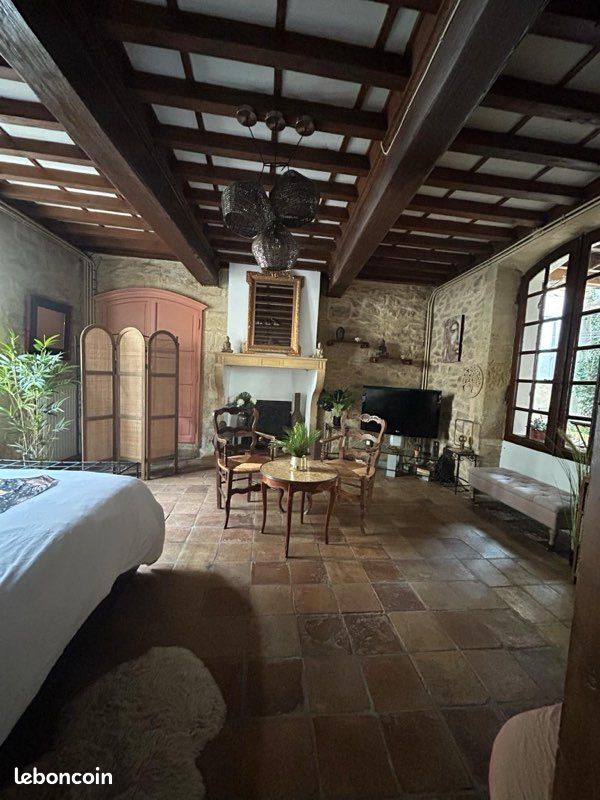 Mon précieux camarguais (image 9)