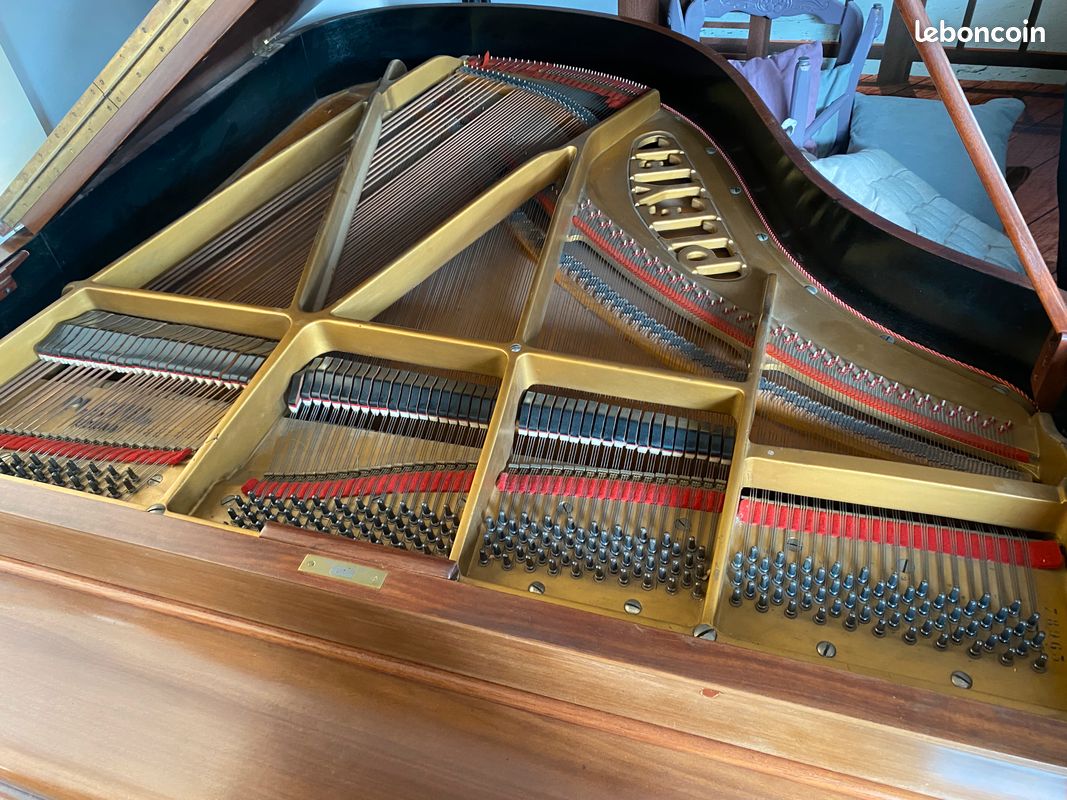 Piano à queue Pleyel - 1927 (image 5)