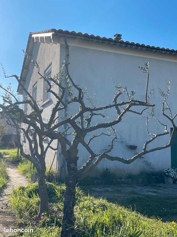 Maison 5 pièces 60 m² · à Vaison-la-Romaine · 60 m² · 230 000 €