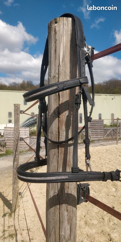 Filet (bridon) taille cheval noir attaches mousquetons (image 2)