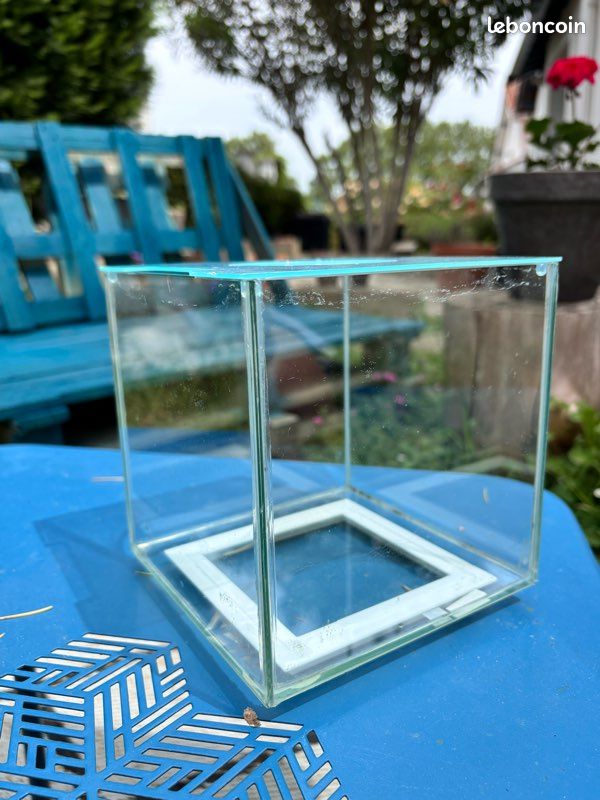 Aquarium idéal combattant / Betta (image 2)