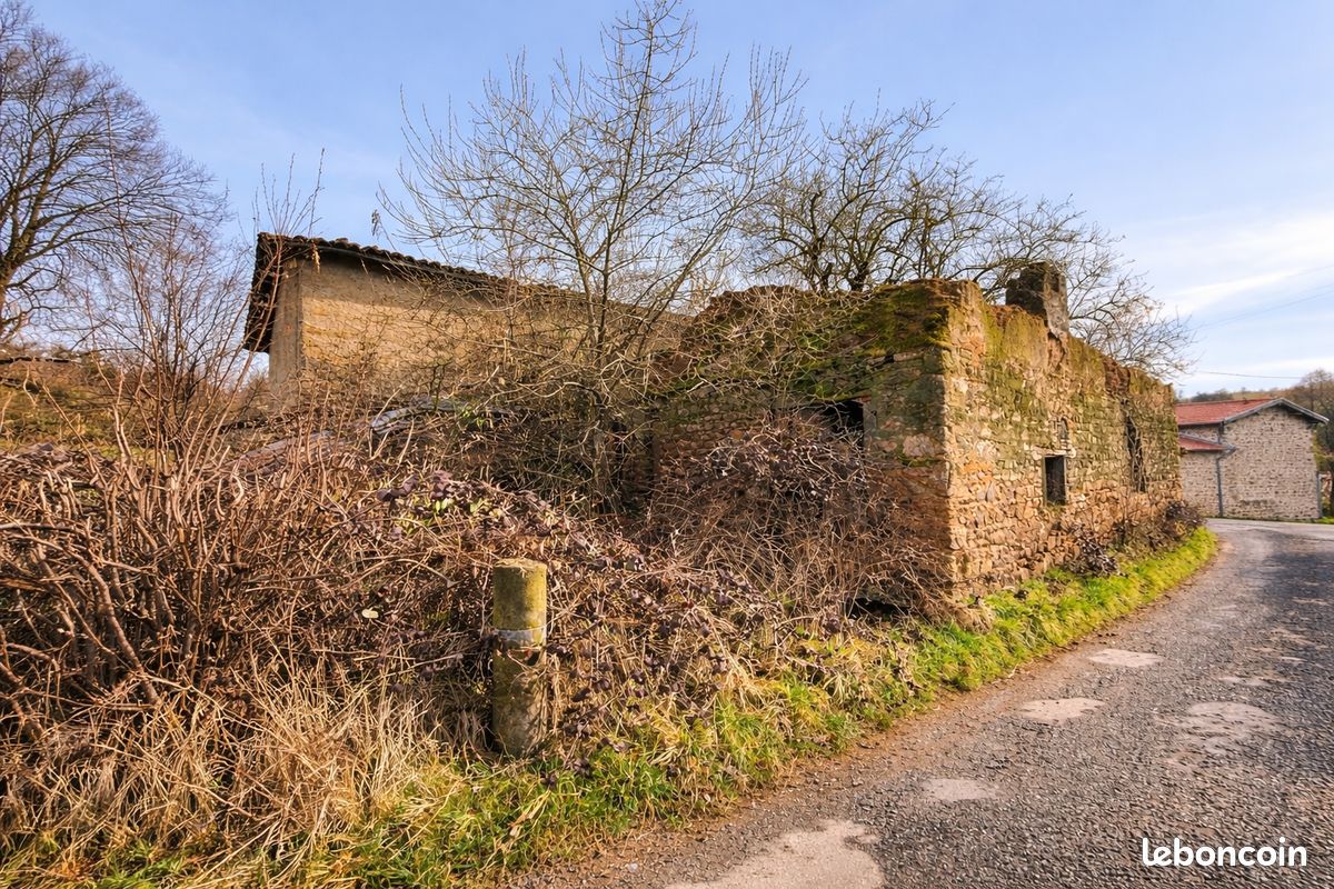 Maison 4 pièces 100 m² · à Montromant · 100 m² · 50 000 €