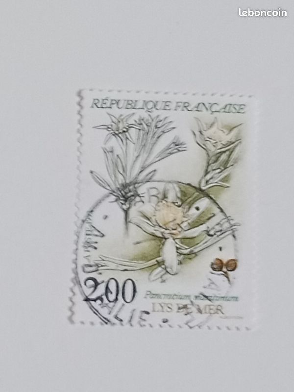 Timbre france oblitéré 2,00 yvert N°2766 flore fleur végétal lys de mer pancratium maritimum de 1992 (image 2)