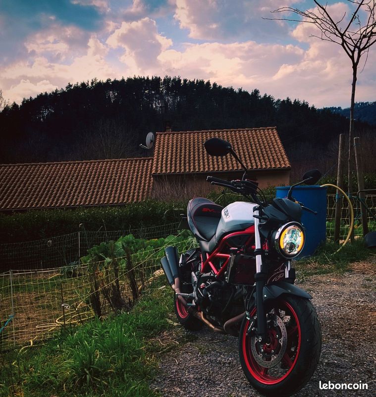 650 sv (image 1)