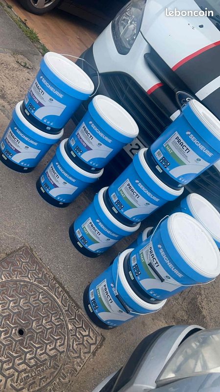 Peinture seigneurie blanche 15L (image 1)