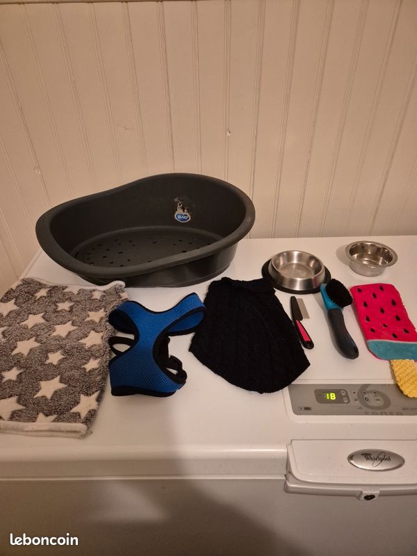 Accessoires pour petit chien (image 3)
