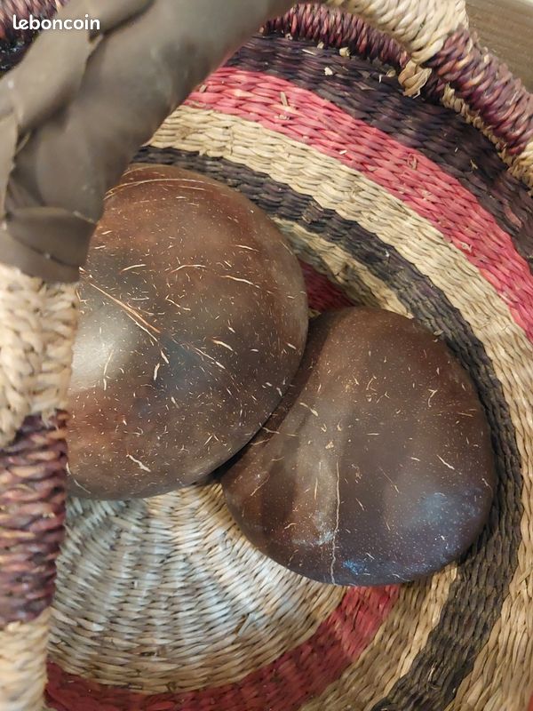 Ensemble de bols en coquille de noix de coco de haute qualité faits à la main