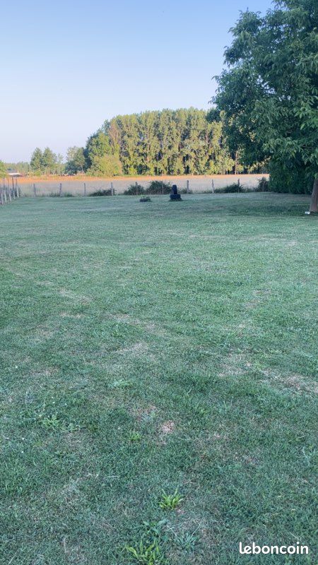 Terrains 1000m2 (image 2)