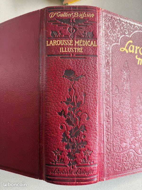 Larousse médical de 1912 (image 2)