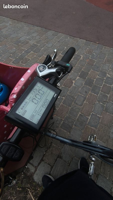 Vélo cargo triporteur jusqu'à 4 enfants - très bon état (image 3)
