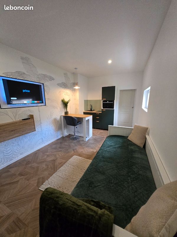Appartement 1 pièce 25 m² · à Fleury-les-Aubrais · 25 m² · 590 €