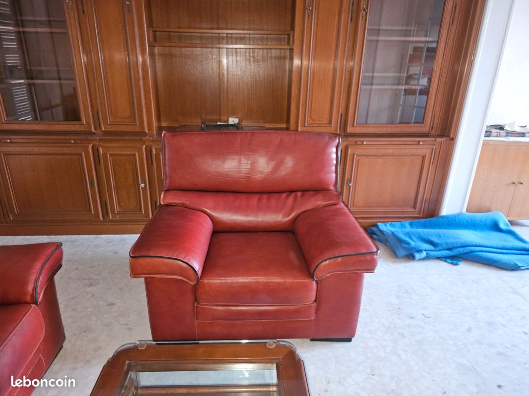 Canapé cuir (image 3)