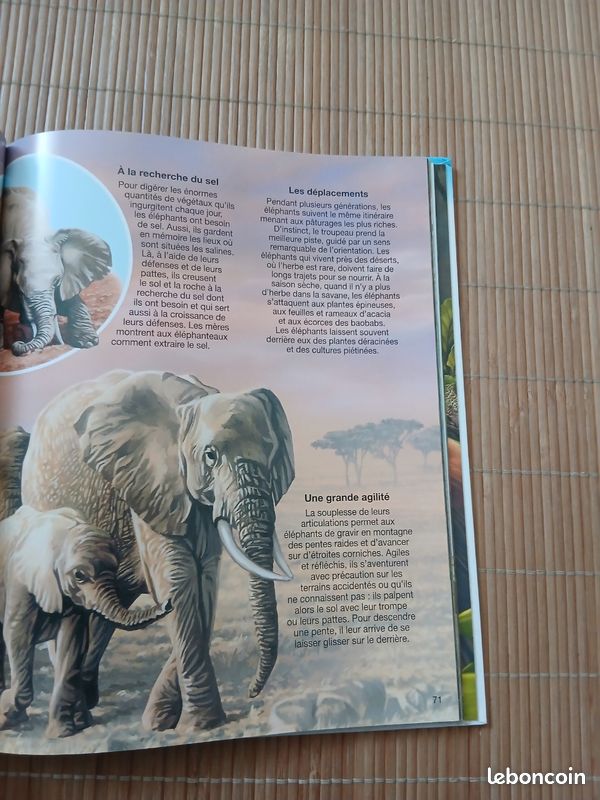 Paquete: Enciclopedia Salvat De La Fauna: África Vol. 1 Y 2