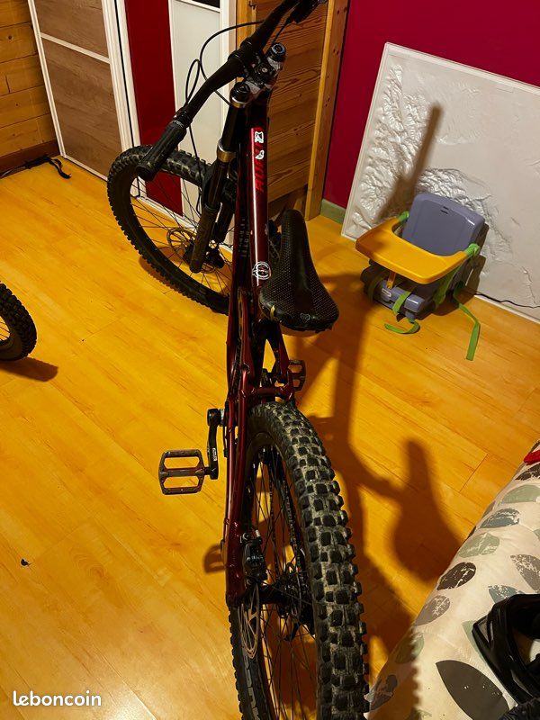 Norco aurum (image 2)