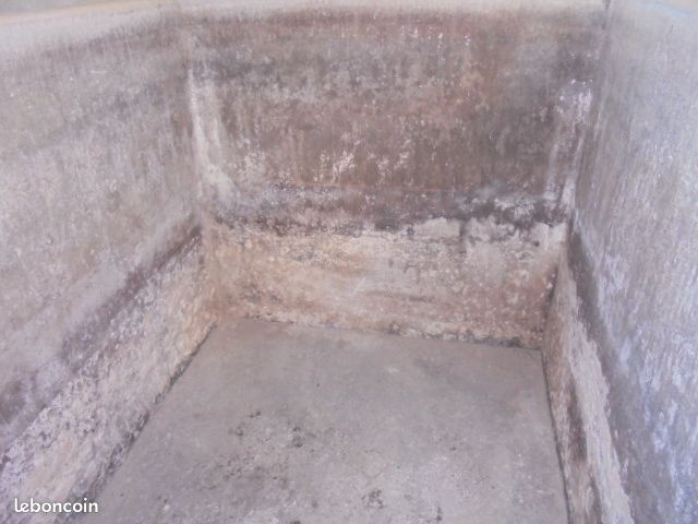 Cuvier beton (image 3)