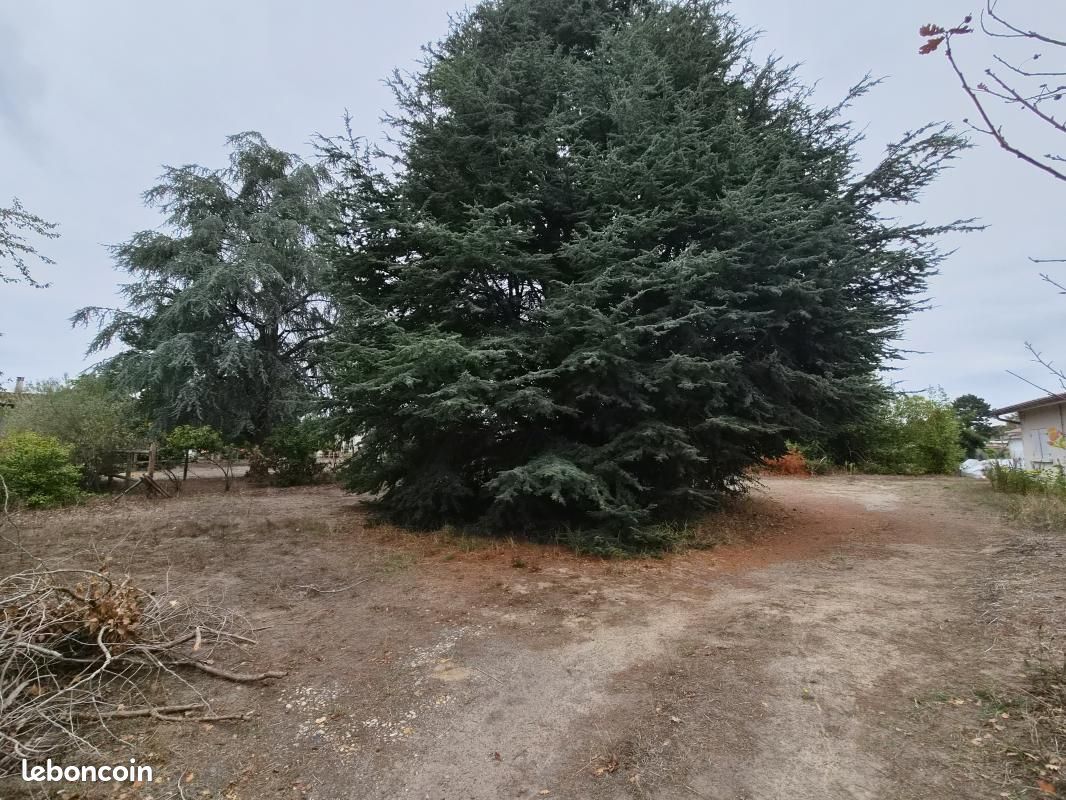 Terrain 1 300 m² Illats · 78 000 €