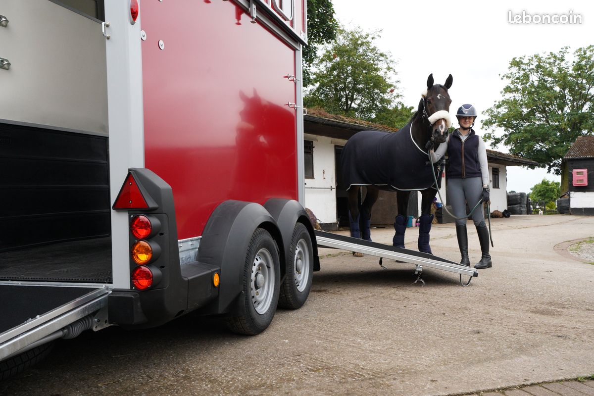 Ifor WILLIAMS HB511 "grand chevaux" DISPONIBLE (image 7)