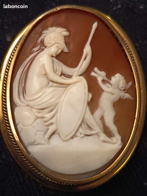 14 carats camée, coquille, or - Broche