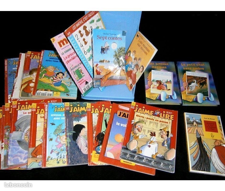 MESLIVRES - Livres - Dictionnaire/Anglais/Guide/Voyage/livres C_815 (image 8)