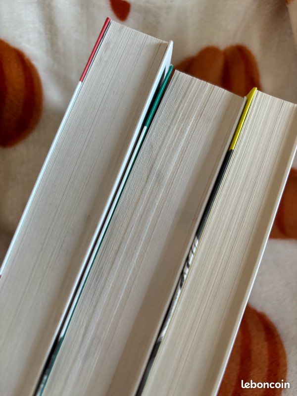 Lot livres new romance universitaire (image 7)