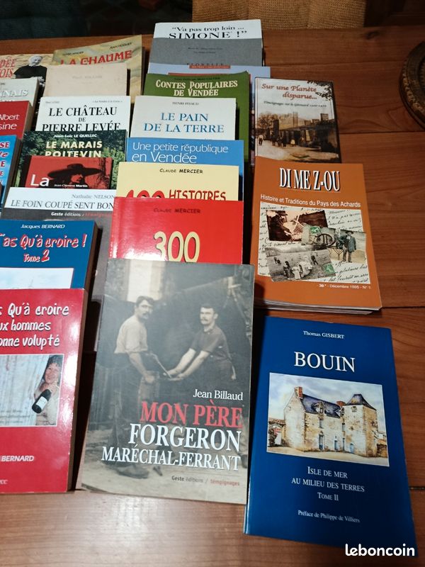 Lot de divers livres sur la vendee (image 4)