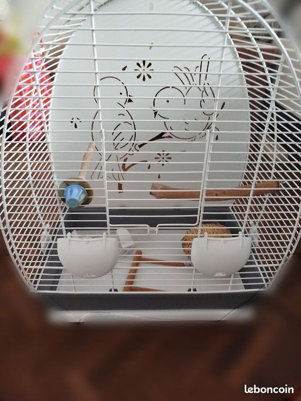 Cage oiseaux (image 1)