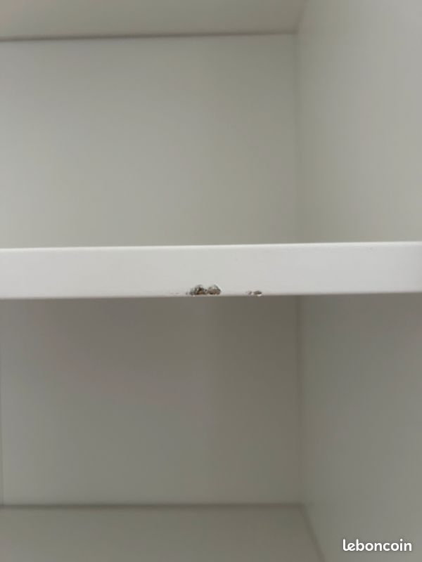 Armoire deux portes IKEA Hauga (image 4)