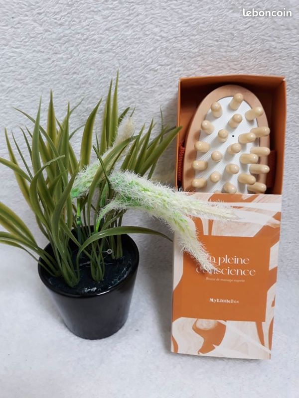 Brosse de massage my little box (image 1)