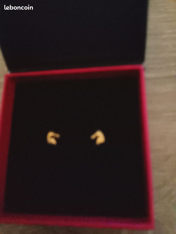 Boucle d'oreille (image 1)