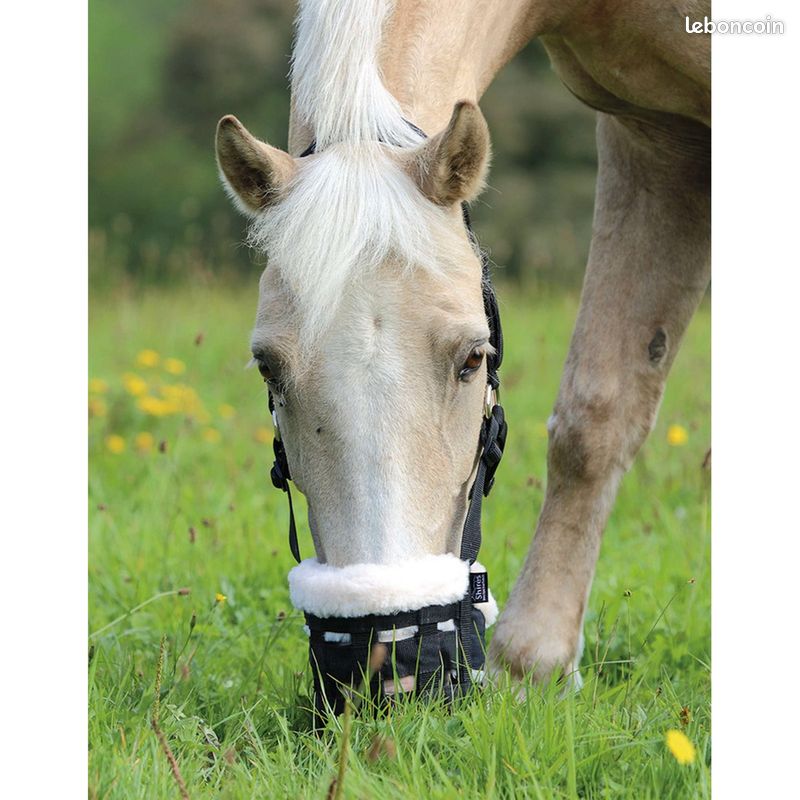 Museau Anti-glouton Breezy Grazer Pour Cheval - Taille XS Shetland, Beige, Neuf