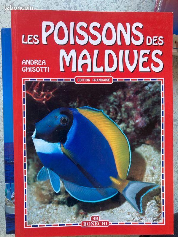 Les poissons des Maldives (image 1)