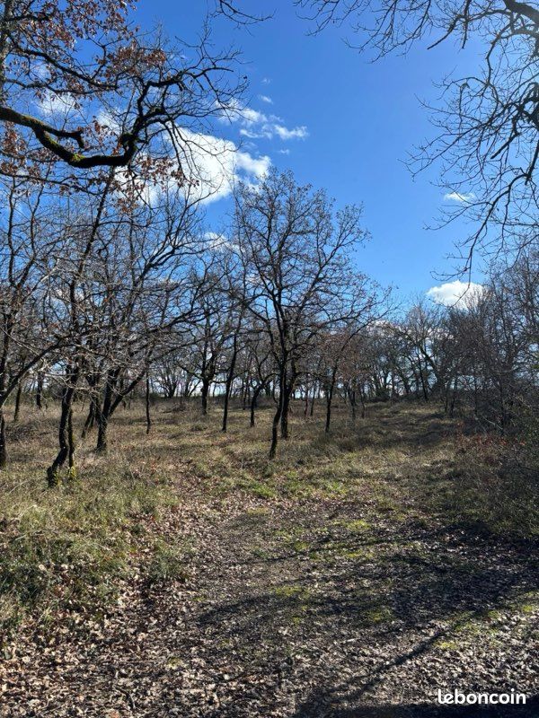 Terrain constructible · à Montcuq-en-Quercy-Blanc · 50 000 €