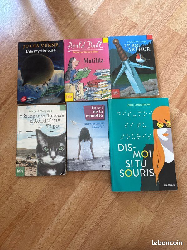 Lot livre (image 1)