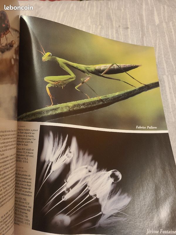 Magazine Chasseur d'images n°389 2016 (image 7)