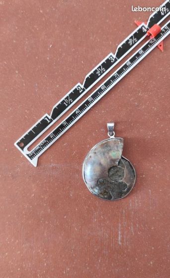 Magnifique pendentif ammonite fossile (image 2)