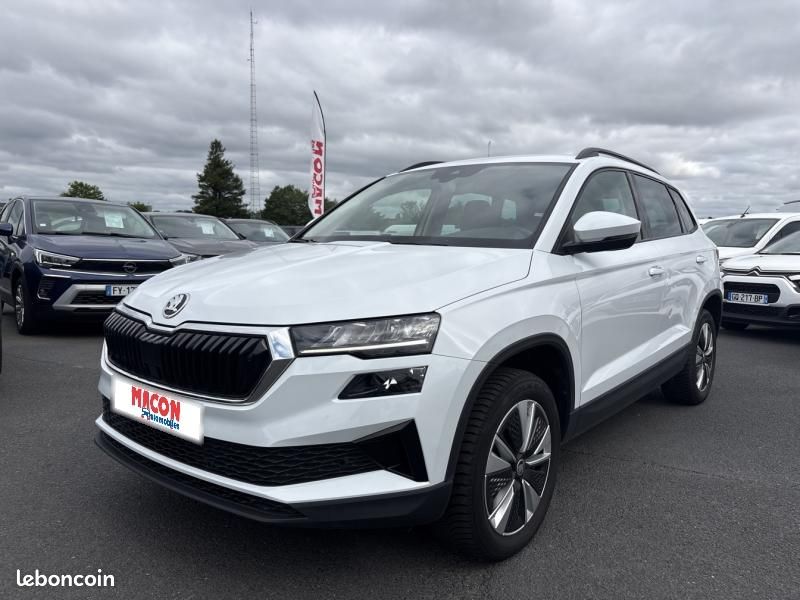 Skoda Karoq 2.0 TDI 116ch SCR Business DSG7 (image 1)