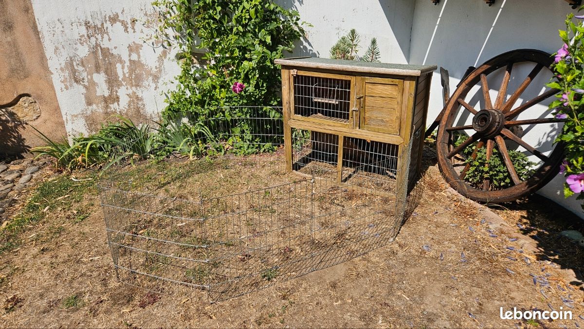 Clapier extérieur avec grand enclos pour lapin, cochon dinde, ... (image 1)