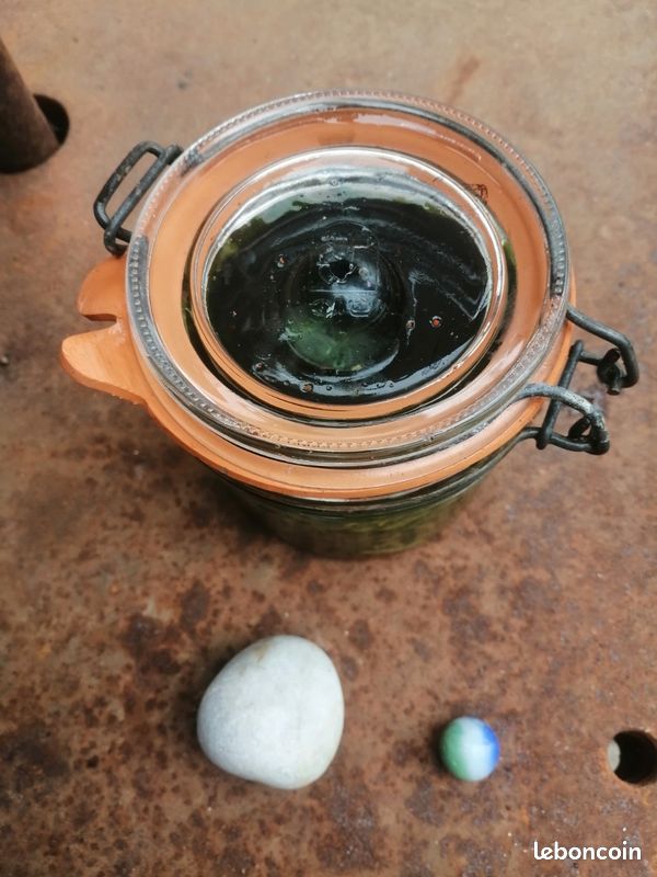 Poids pour lactofermentation en bocaux (Miso, Kimchi, cornichons, ..., le parfait) et tire-poids/légumes (image 3)