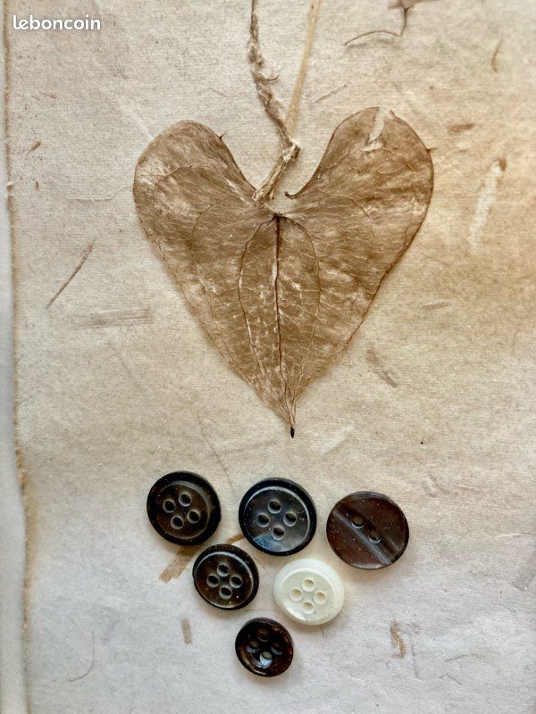🌱Plutôt nature ou plutôt🧵couture ? Pourquoi pas les 2 avec un quatuor de tableautins, qui s’assortit si bien Mais se vend aussi en duo… (image 5)