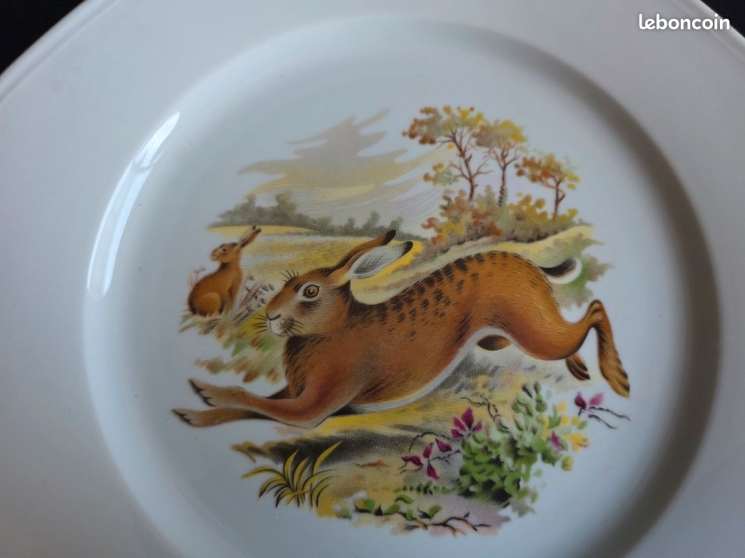 Lot de 6 assiettes plates octogonales décor chasse / gibier - 25,5 cm (image 6)