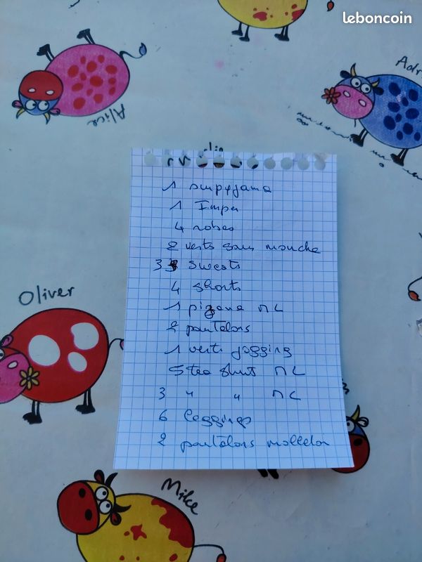 Lot vêtements dites fille taille 10 ans (image 9)