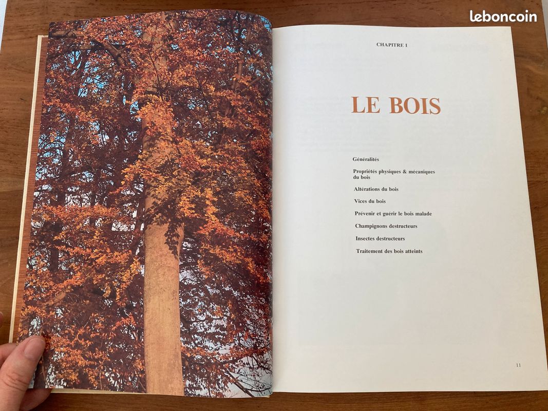 Comment choisir son bois guide pratique du bois éditions Kity Yves Touchard et Alphonse Meyer (image 10)