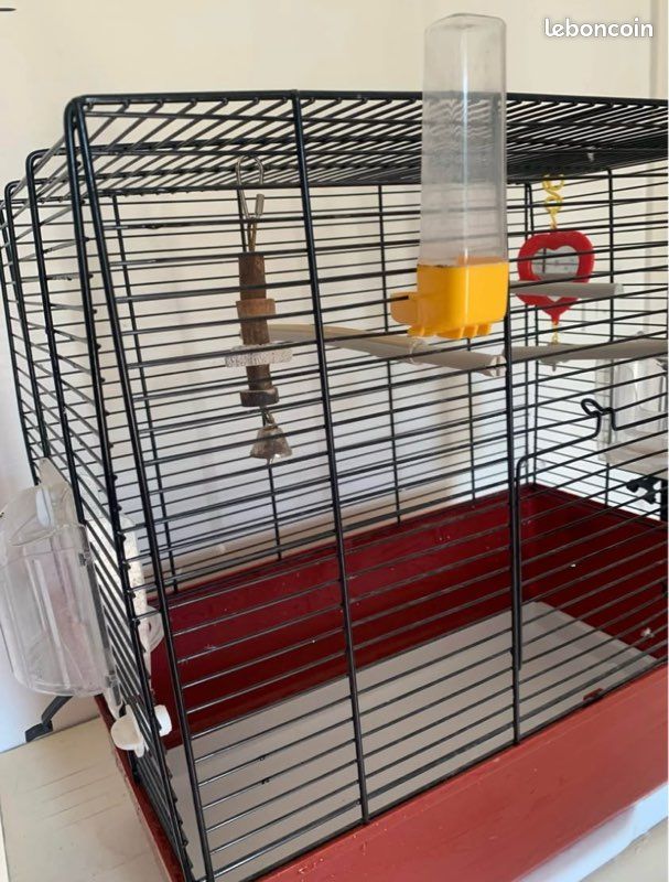 Cage oiseaux (image 3)