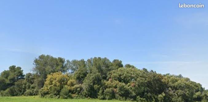 Terrains boisés